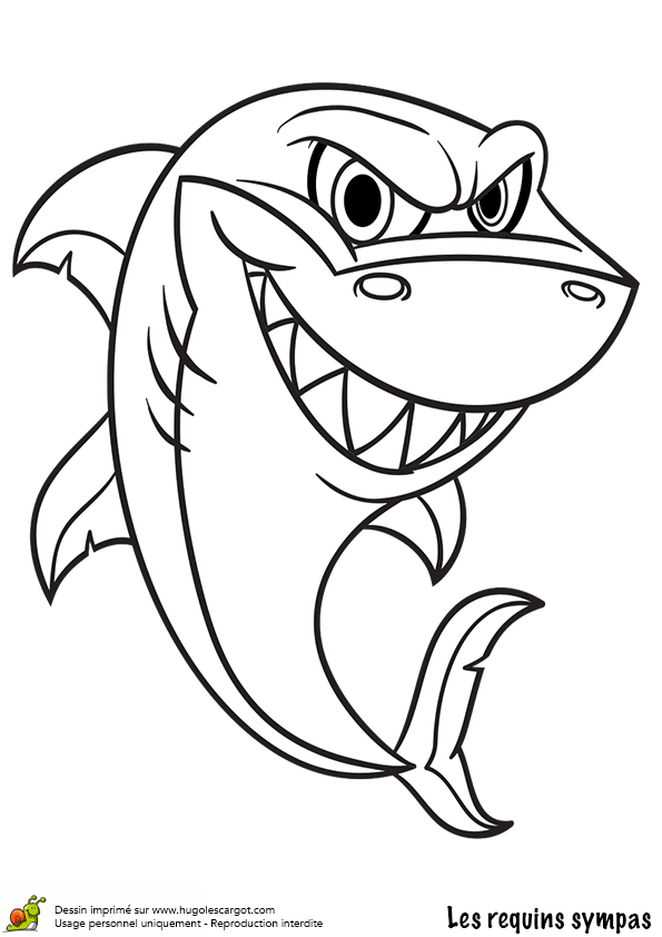 dessin à colorier imprimer requin blanc