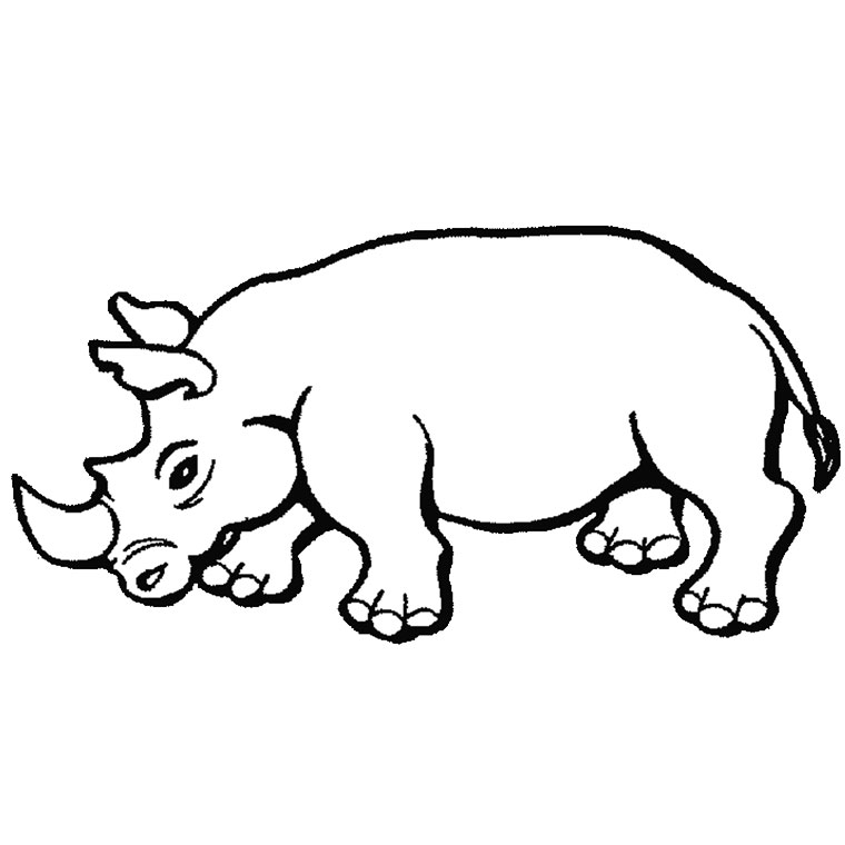 coloriage rhinoceros