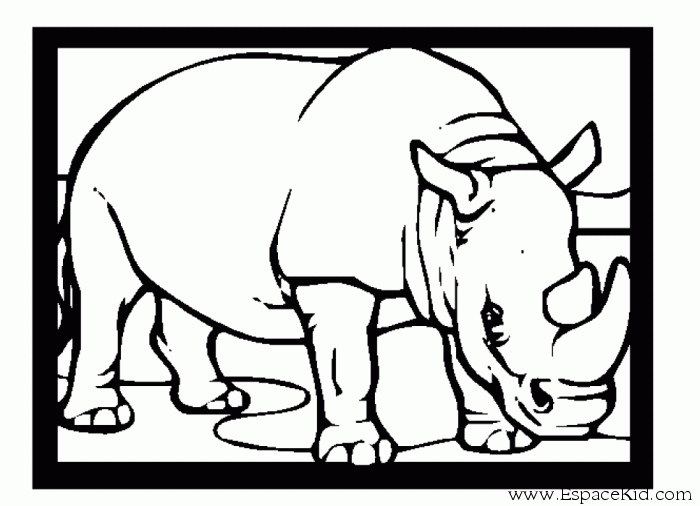 coloriage gratuit imprimer rhinoceros