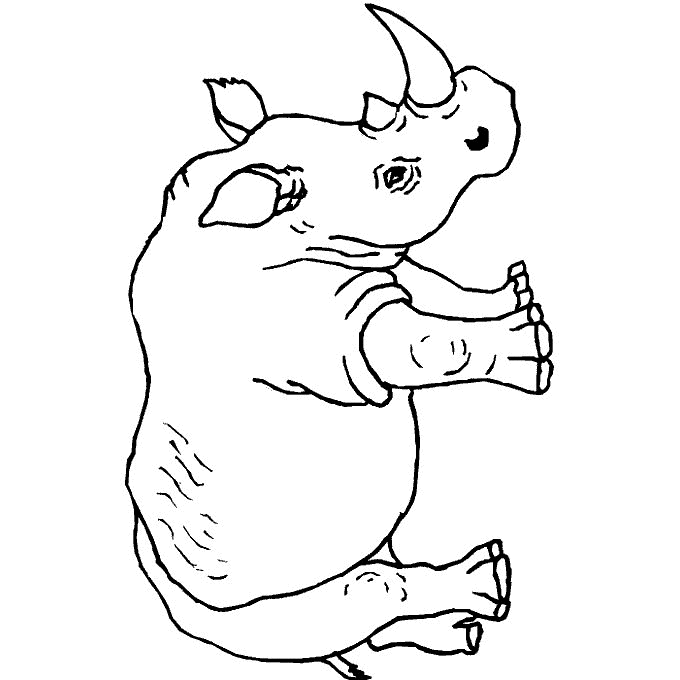 coloriage à dessiner à imprimer rhinoceros