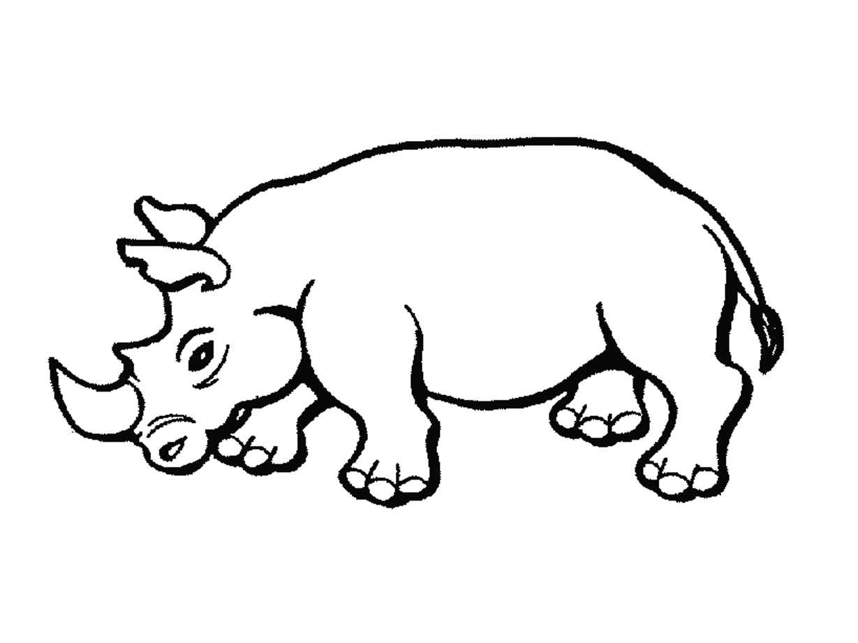 coloriage à dessiner de rhinoceros a imprimer
