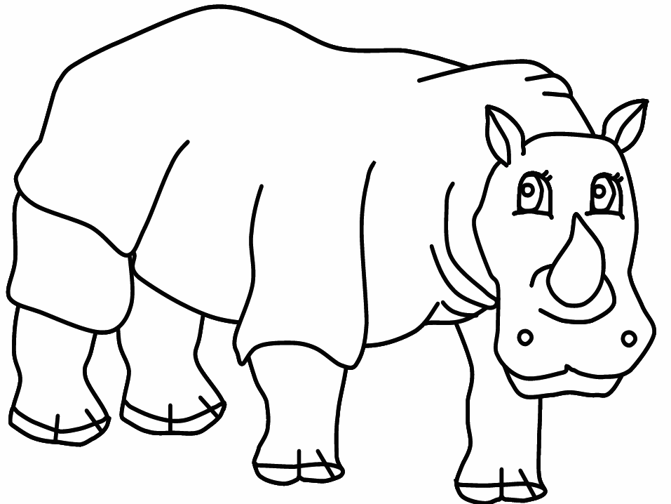 dessin rhinoceros