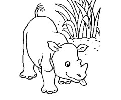 dessin � colorier rhinoceros ligne