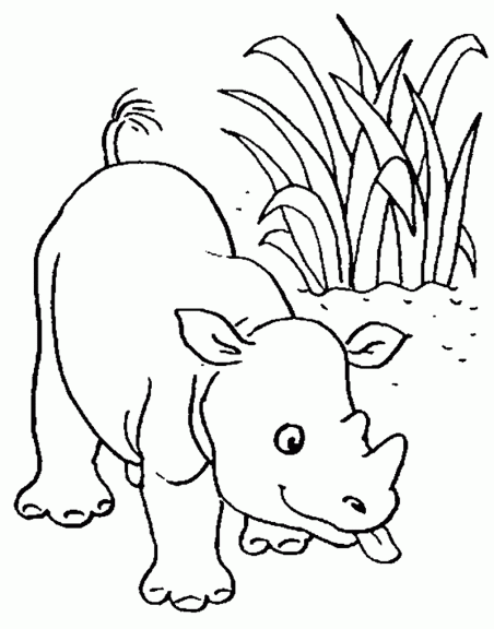 dessin à colorier rhinocéros imprimer
