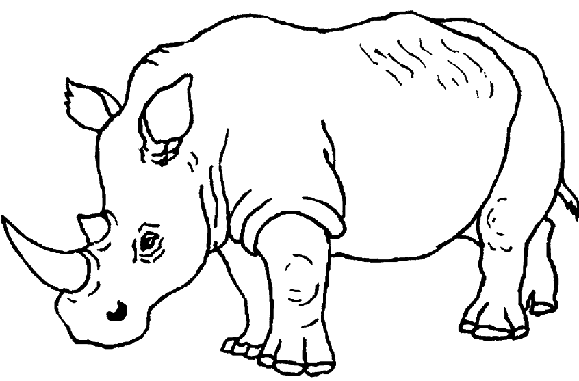 image rhinocéros dessin
