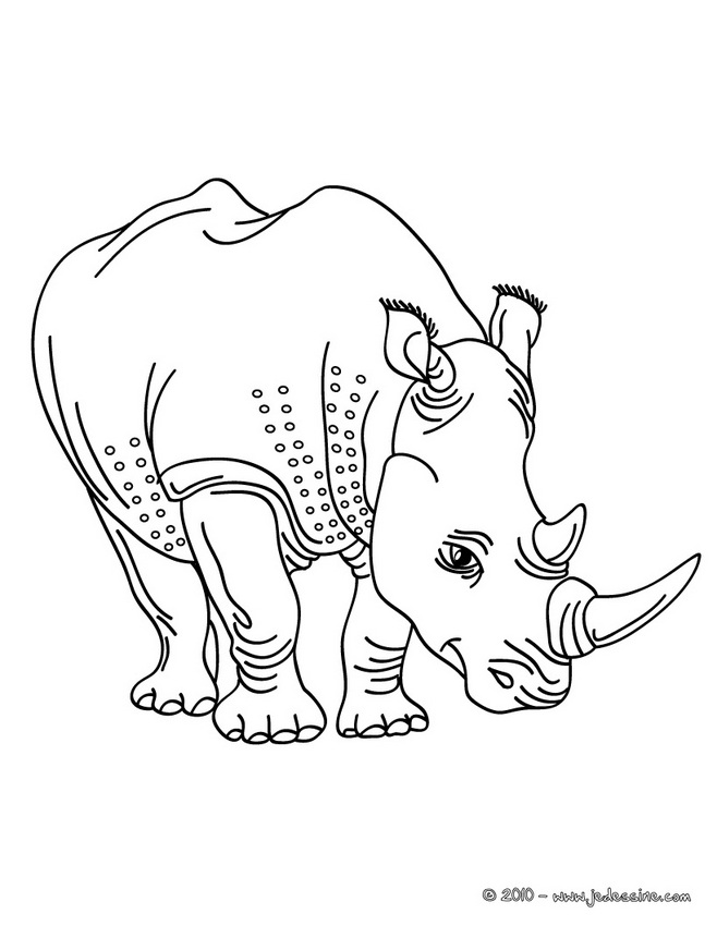 coloriage à dessiner rhinoceros à imprimer