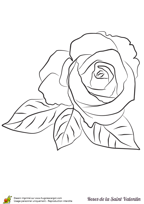 coloriage à dessiner mandala rose