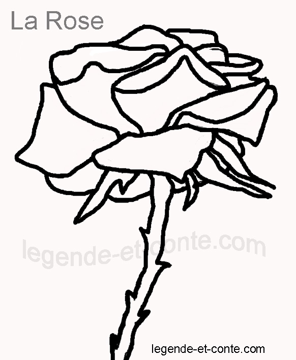 coloriage  dessiner panthere rose en ligne