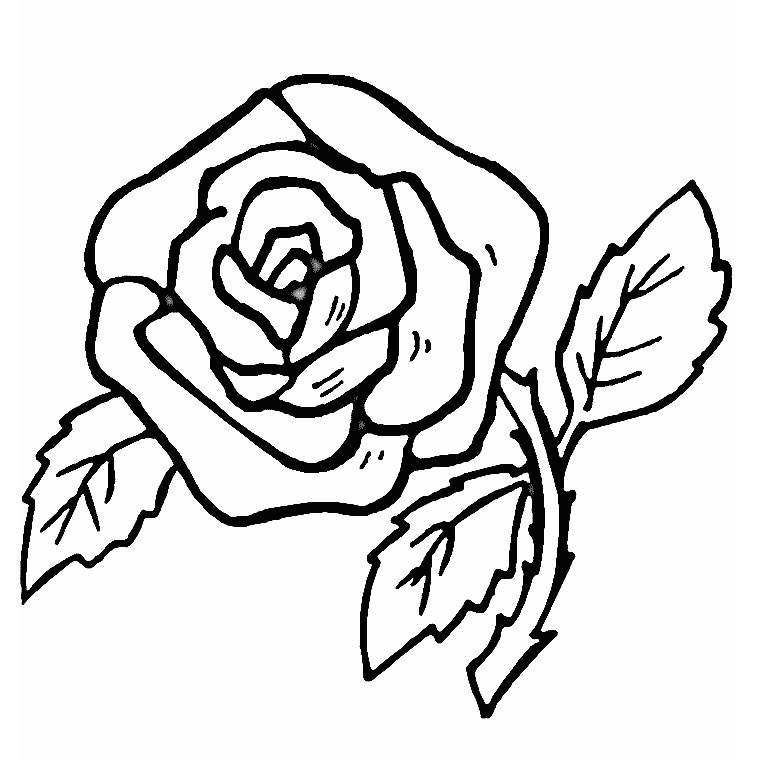 coloriage de petite rose