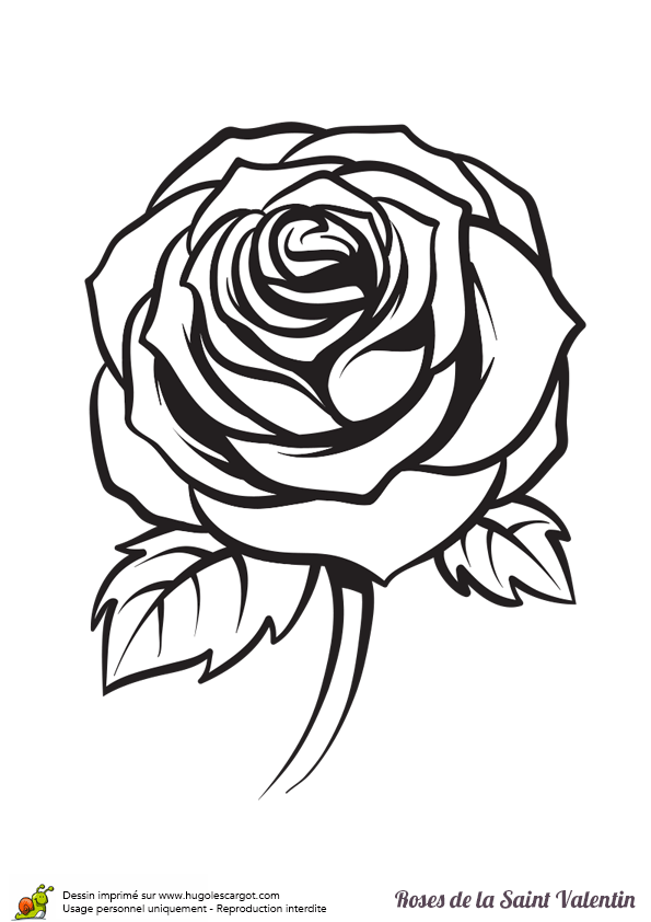 coloriage  dessiner panthère rose