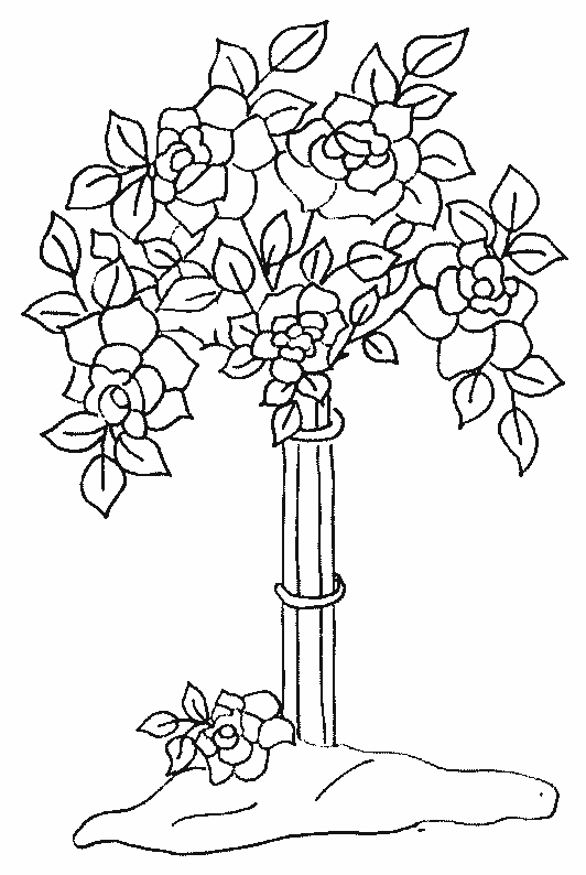 coloriage rose des sables