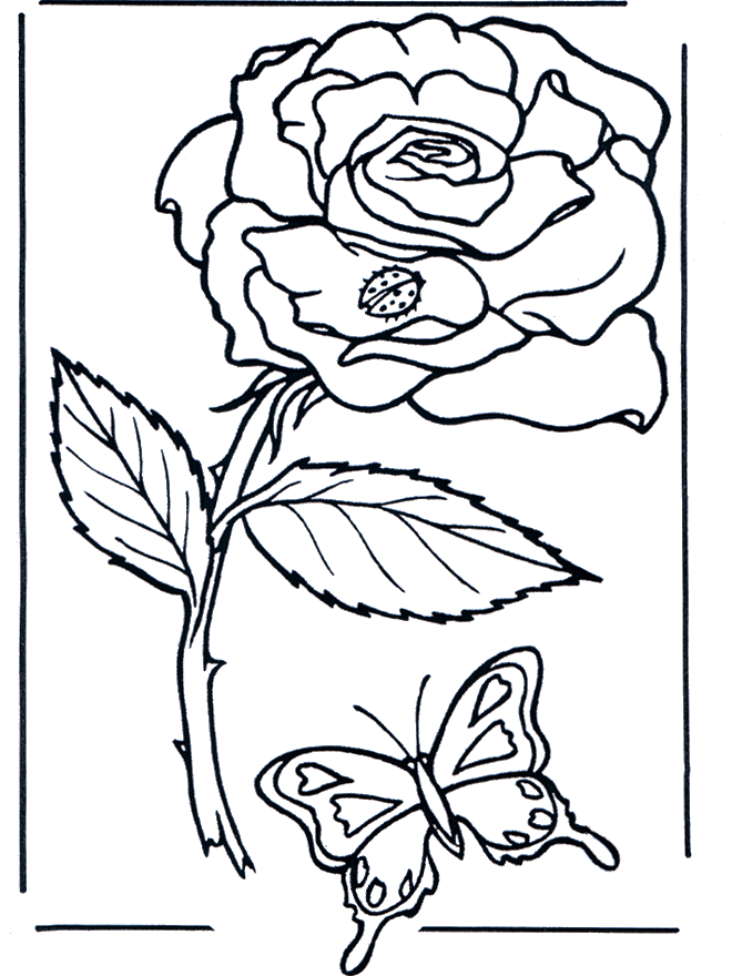 coloriage à dessiner rose des vents