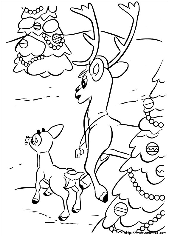 dessin de rudolf