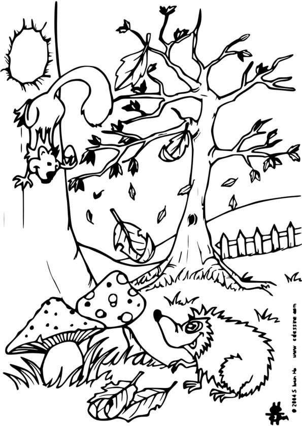 coloriage des saisons de l'année