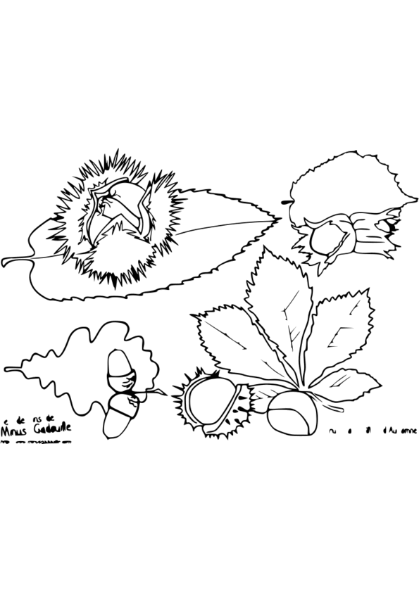 arcimboldo les 4 saisons coloriage