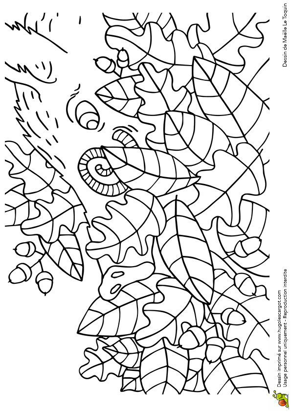 imprimer coloriage à dessiner sanglier