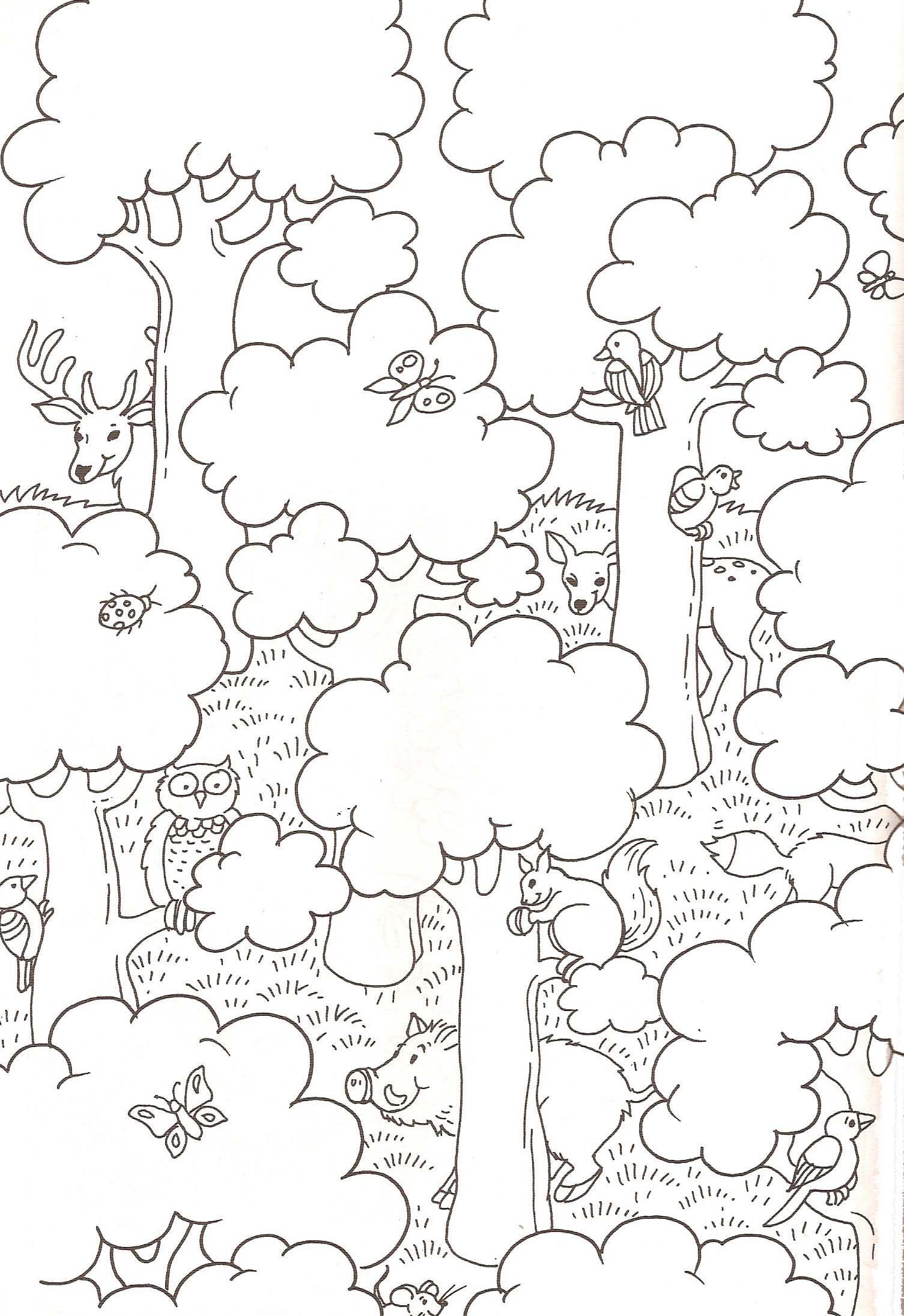 coloriage animaux des bois coloriage Æ’ dessiner de sanglier et de cerf