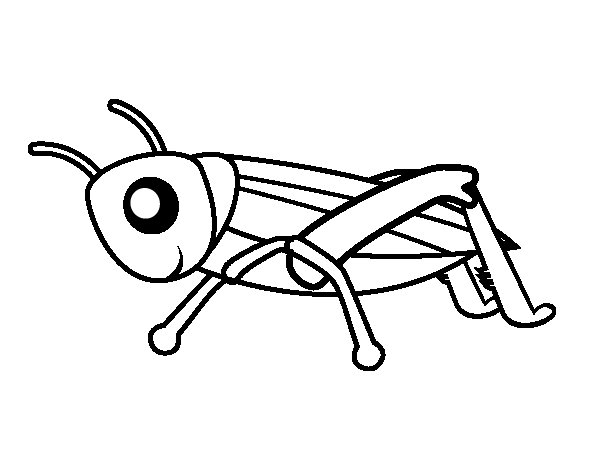 coloriage sauterelle en ligne de rugrats nouveau