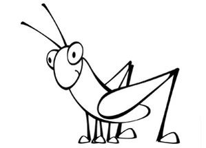 sauterelle dessins insectes