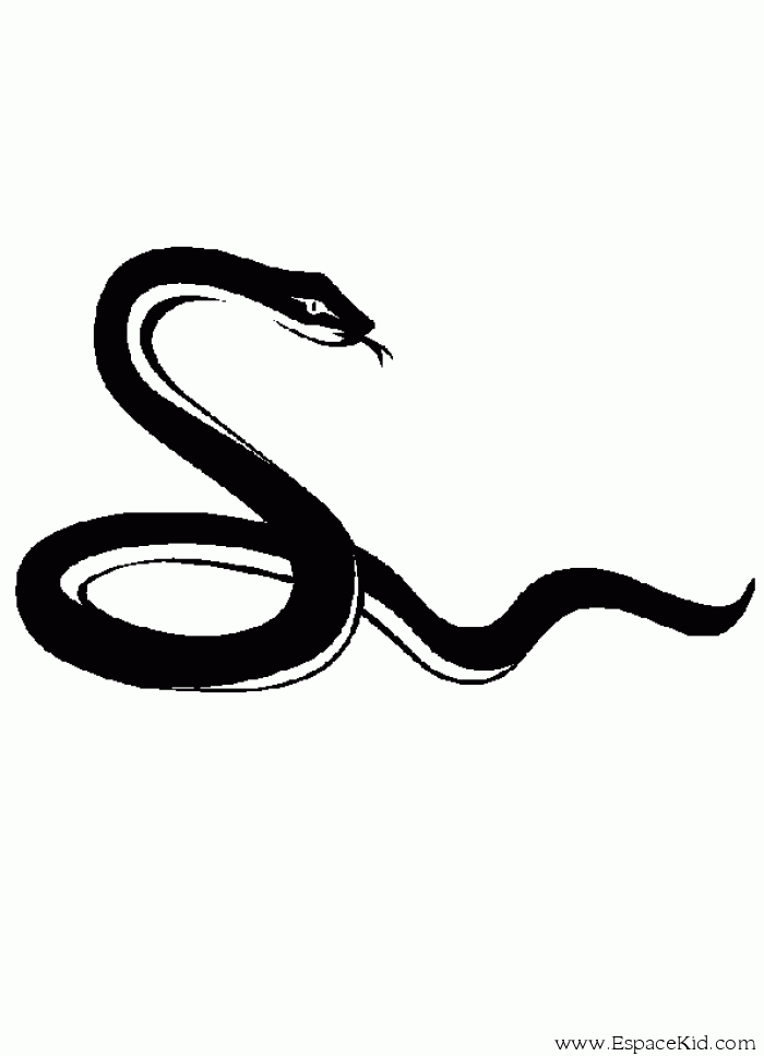 dessin � colorier serpent de mer