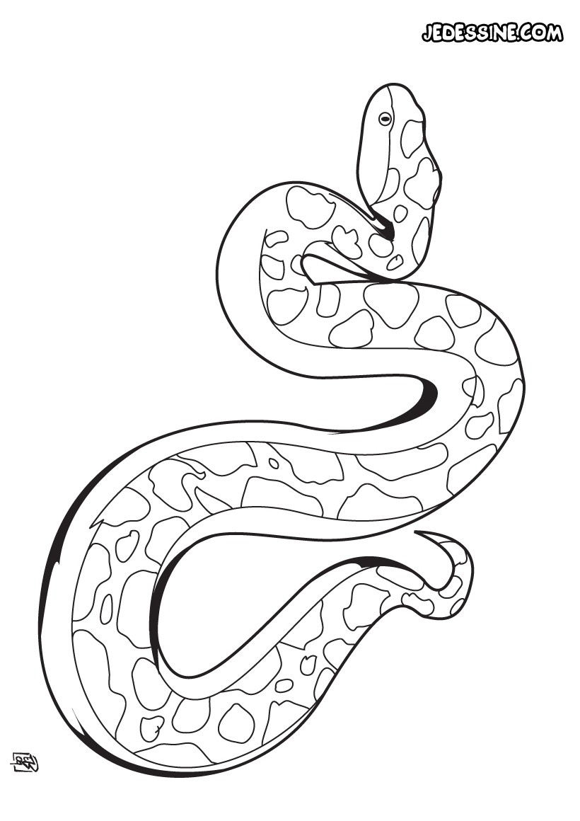 30 dessins de coloriage Serpent imprimer coloriage dessiner poison serpent beyblade