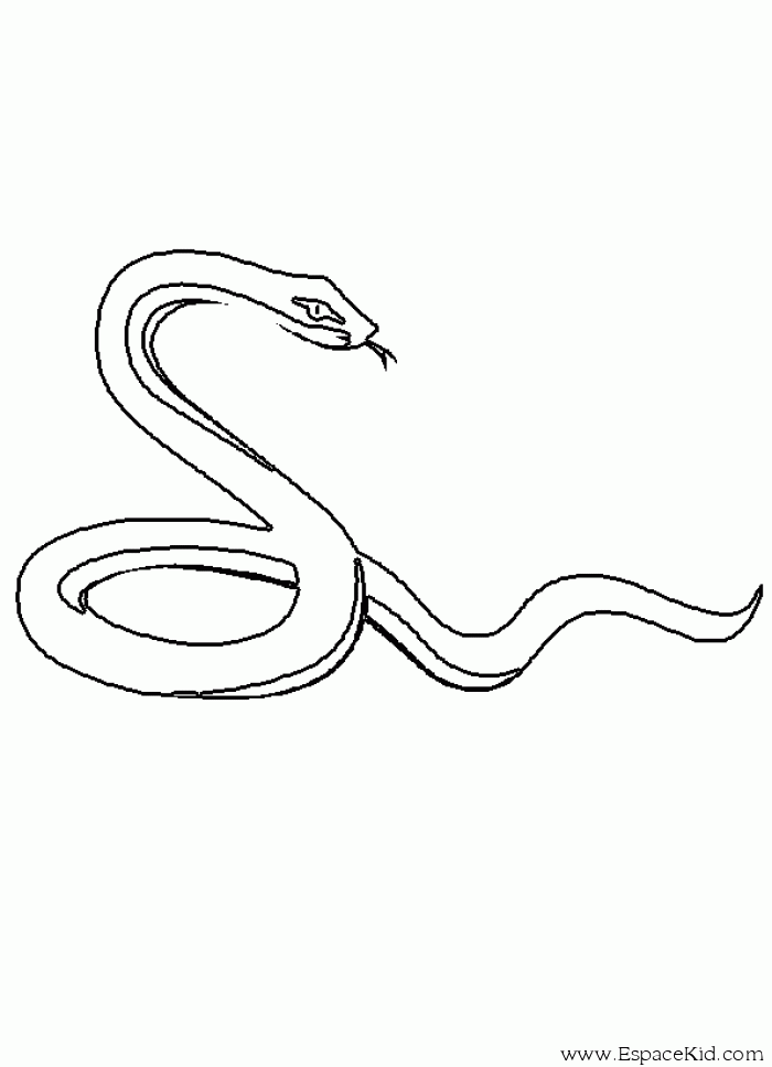dessin � colorier serpent d'eau