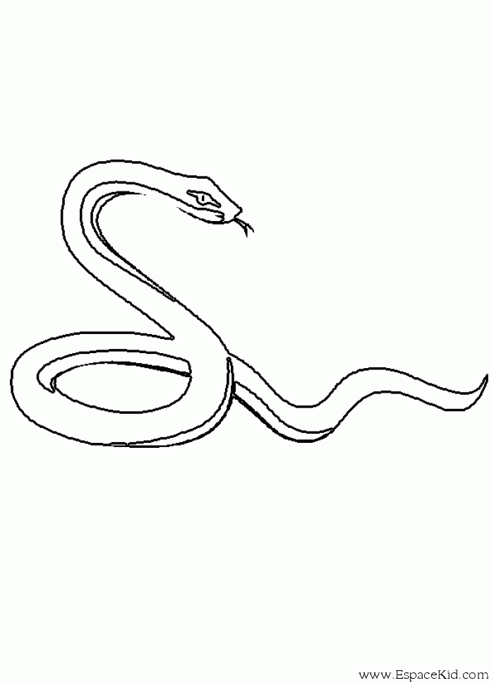 dessin  colorier serpent d'eau