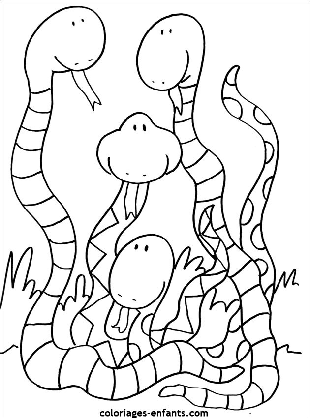 coloriage serpent anaconda