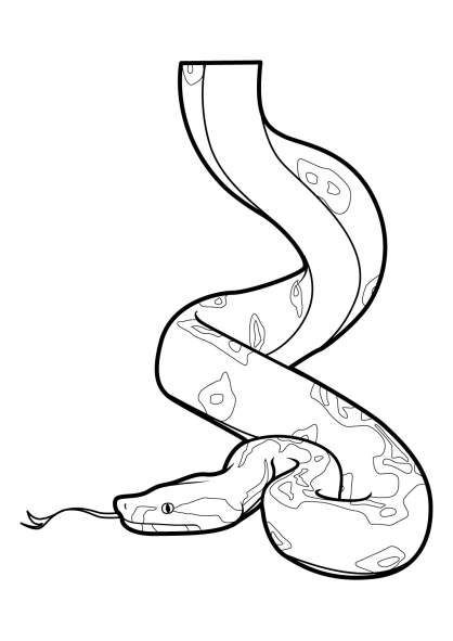 dessin  colorier serpent cobra
