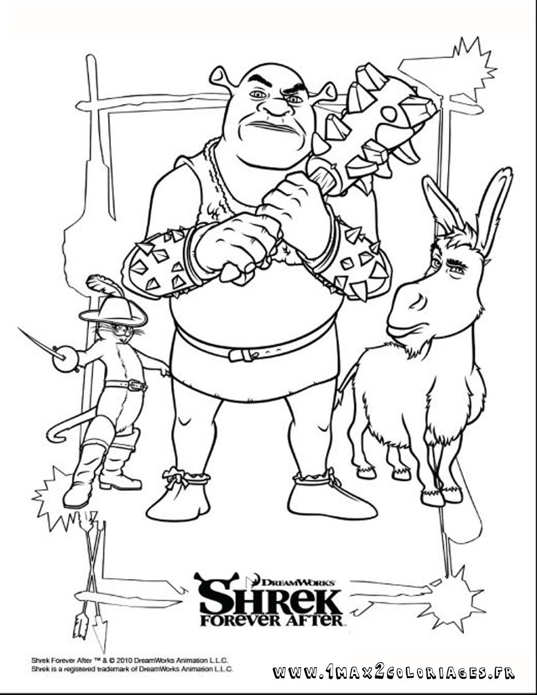 dessin shrek et sa famille