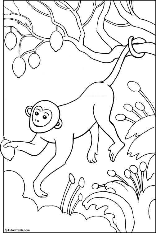 colorier un singe