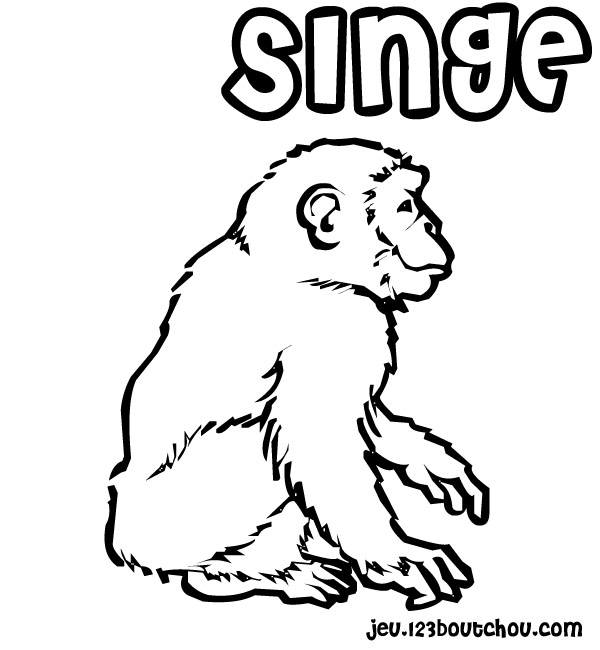 coloriage  dessiner singe banane