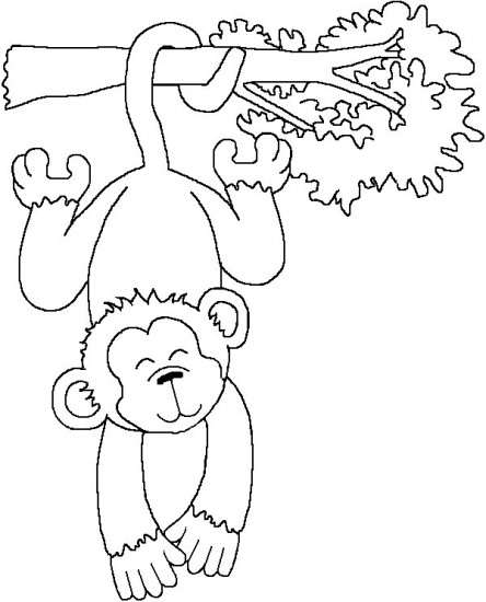 coloriage  dessiner de bebe singe a imprimer