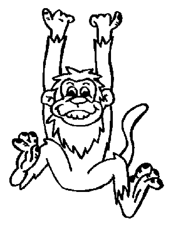 dessin guenon singe noix