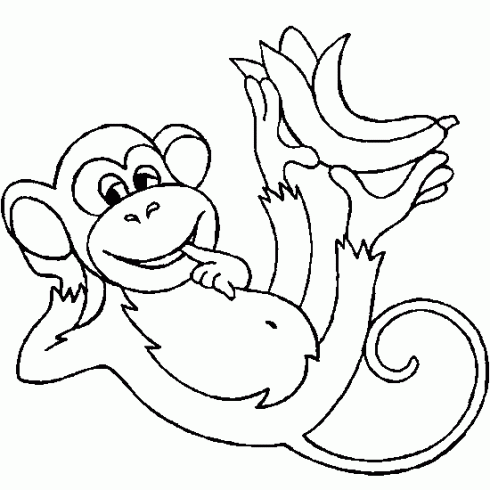 coloriage singe gratuit