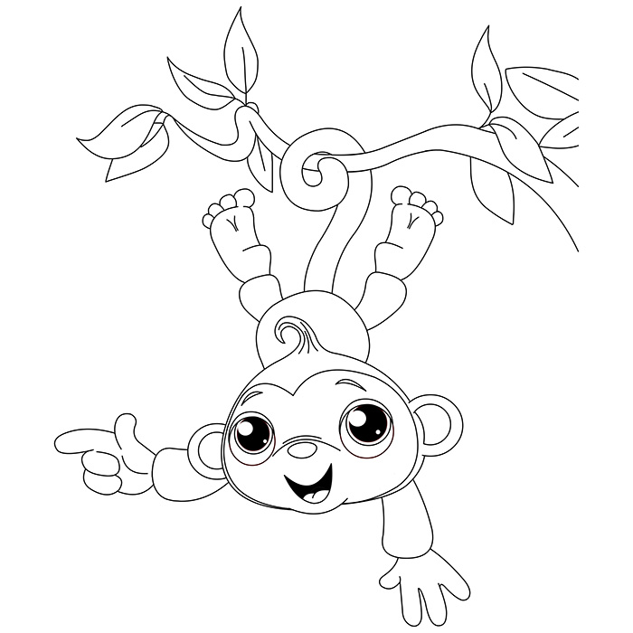 coloriage singe imprimer gratuit