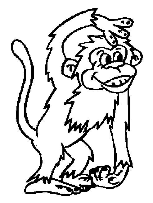 coloriage singe araigne