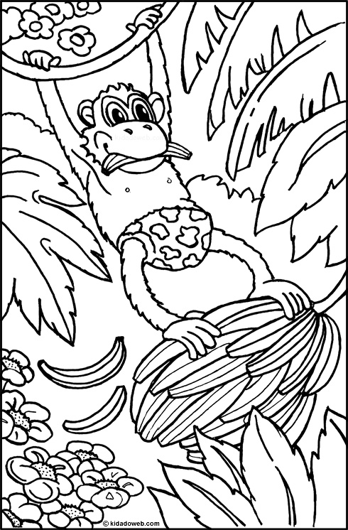 coloriage à dessiner petit singe