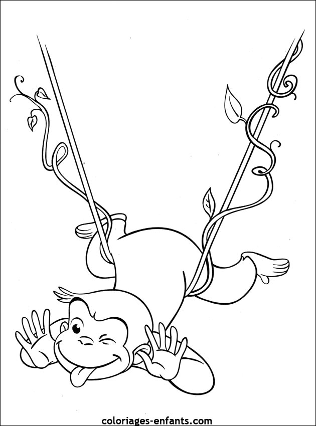 coloriage le singe