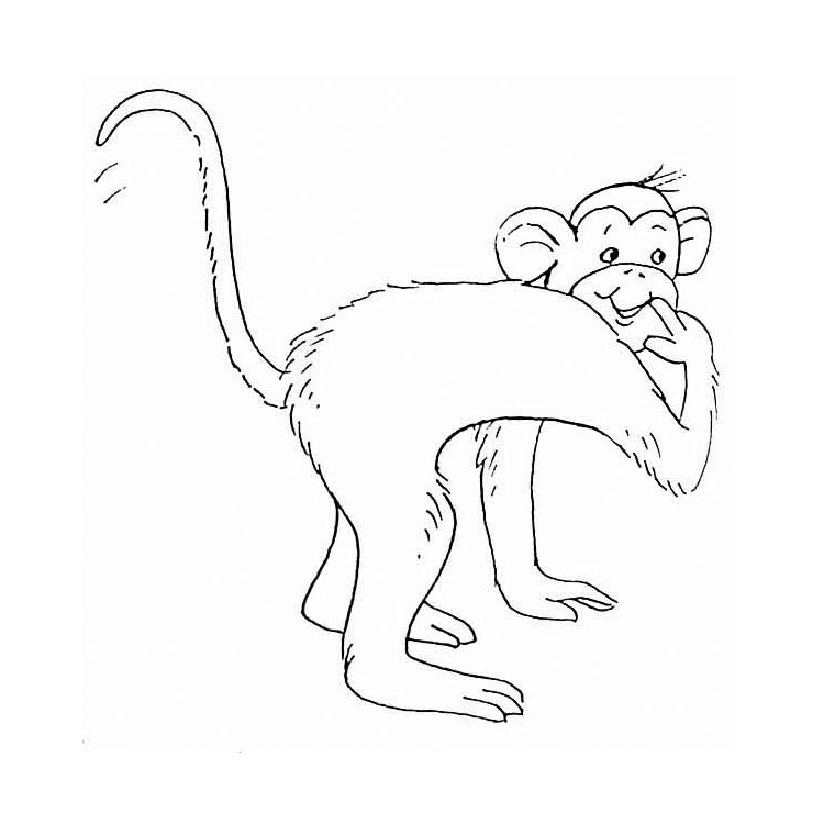 dessin  colorier de singe dans la savane