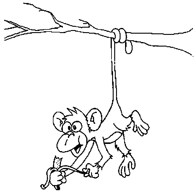 dessin  colorier d'un petit singe