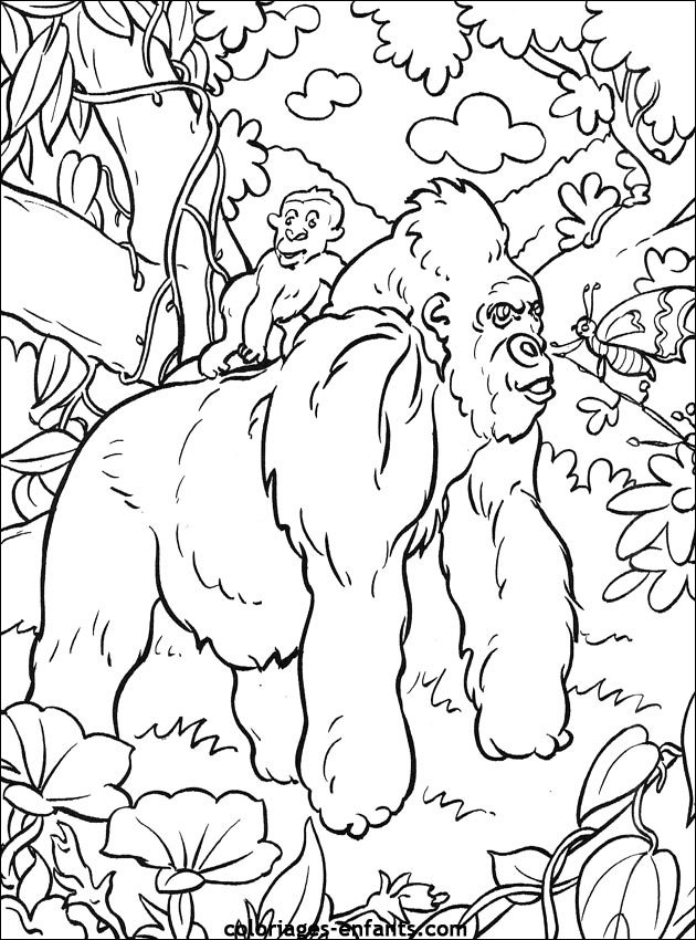 dessin  colorier singe arbre