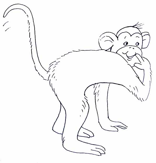 dessin � colorier d'un singe