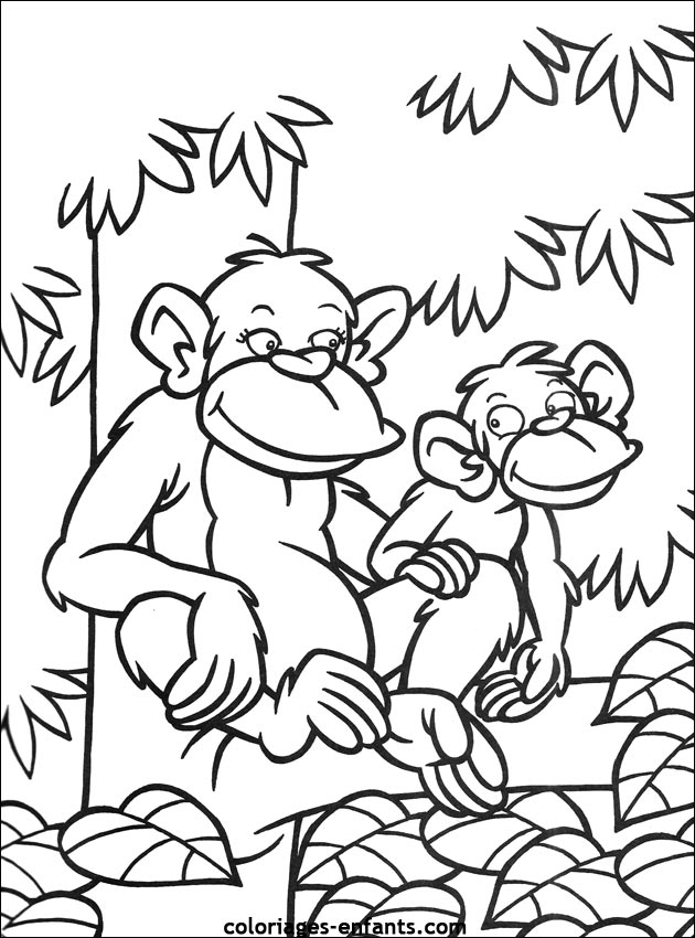 coloriage à dessiner singe bébé