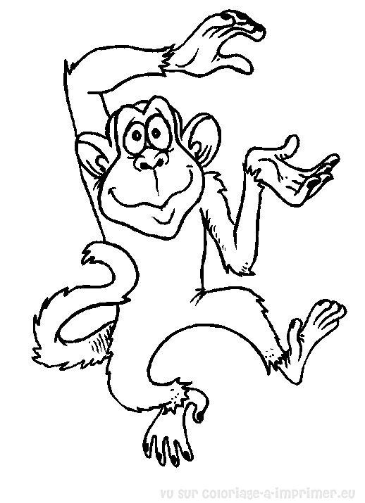 coloriage singe banane