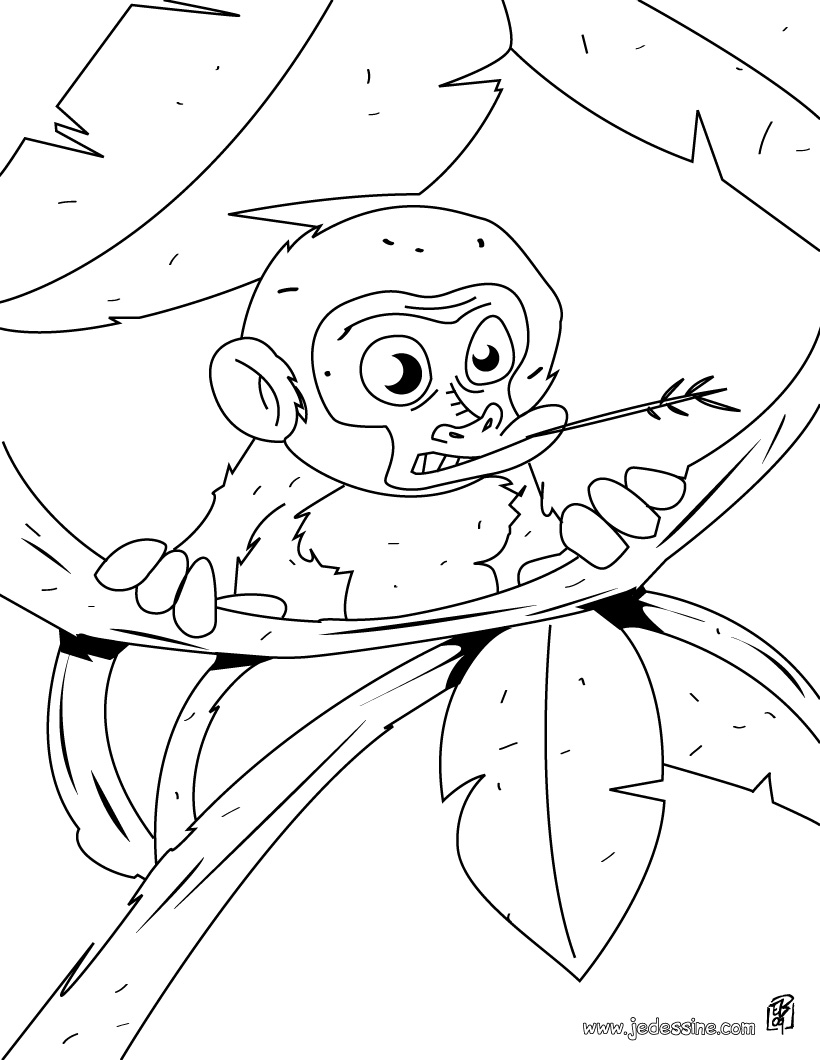 dessin singe bébé