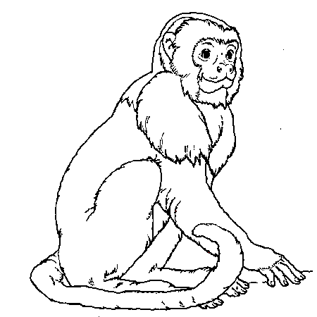 dessin d'un singe a imprimer