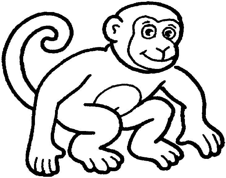 coloriage à dessiner singe gratuit