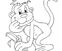 coloriage singe ouistiti