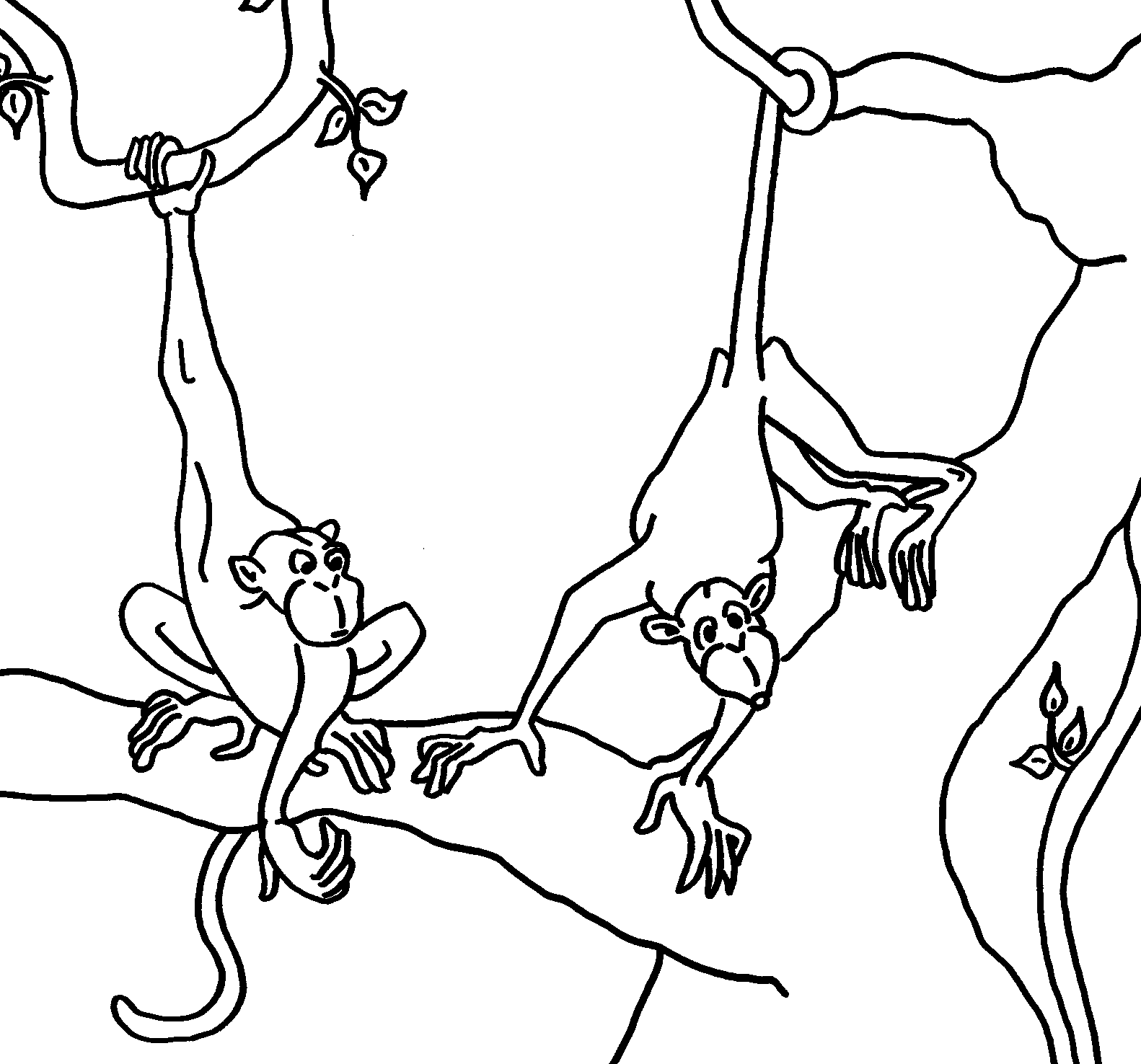 coloriage singe a imprimer gratuit